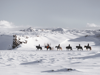 Horse Riding & Caving From Reykjavík, photo 7