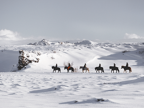 Horse Riding & Caving From Reykjavík, photo 7
