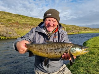 Fishing Day Tour From Akureyri, Husavik or Myvatn, photo 25