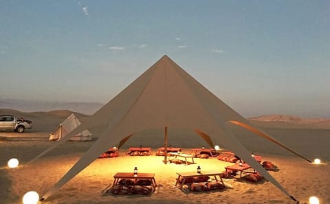 Buggies and Sandboarding Adventure with Dinner in Ica