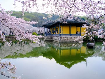 Shanghai to Wuxi Spring Day Trip: Cherry Blossoms & Gardens