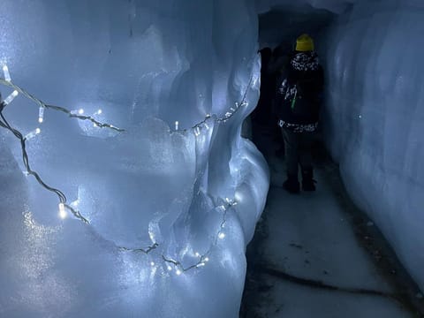 Borgarfjordur - Private Tour (1–6 passengers), photo 5