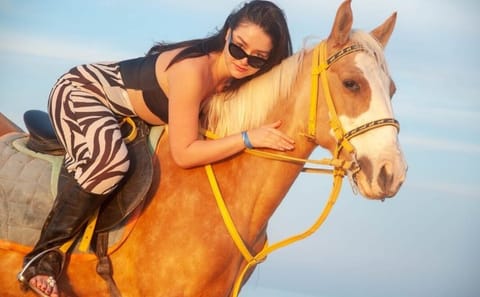 Hurghada Horse Riding and Camel Tour with Swimming
