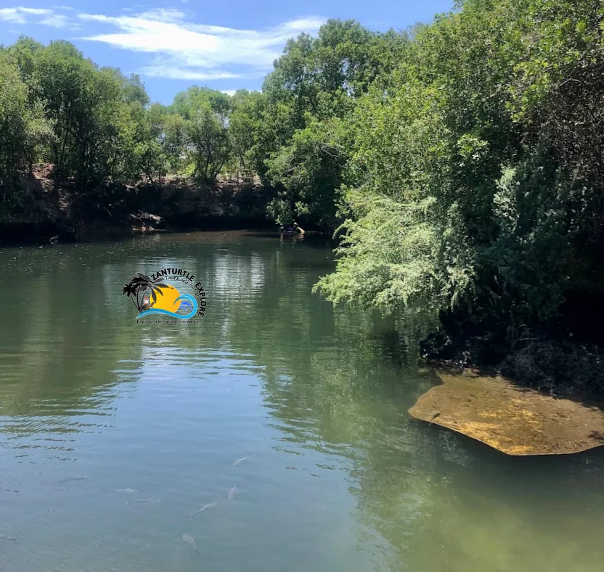 Zanzibar Safari Blue Snorkeling Trip with Lunch