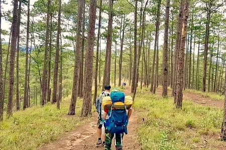 Langbiang Trekking Adventure: Conquer Dalat’s Highest Peak