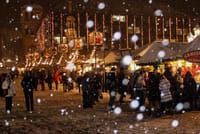 Mainz Christmas Market Private Walking Tour With A Professional Guide 1