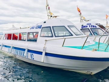 Cham Island Discovery & Snorkeling: Full-Day Tour from Hoi An