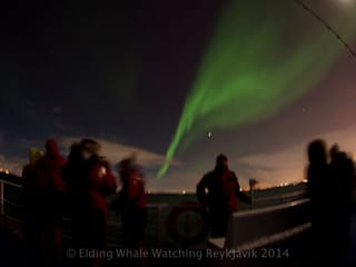 Reykjavík Northern Lights Cruise without pickup, photo 10