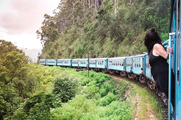 Day Trip to Wilpattu National Park from Colombo