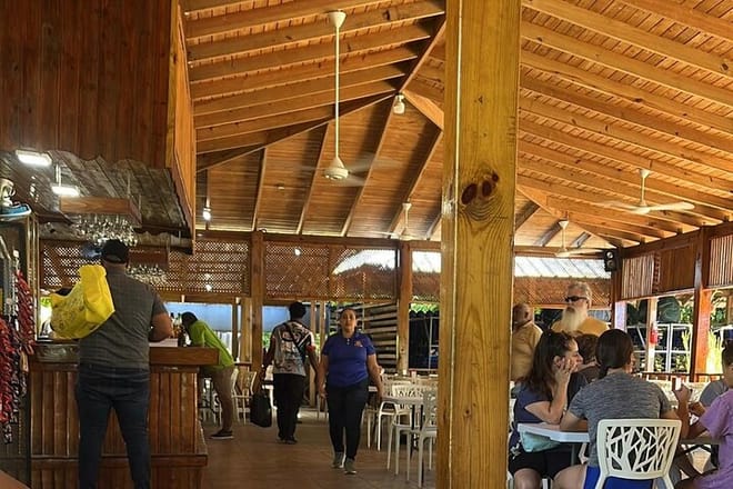 Puerto Plata Damajagua Waterfalls Tour with Lunch 5