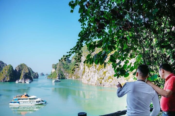 Cozy Bay Cruise 5 Star Halong Day Trip from Hanoi by Expressway