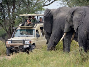 4-Day Camping Safari in Tanzania: Lake Manyara to Serengeti