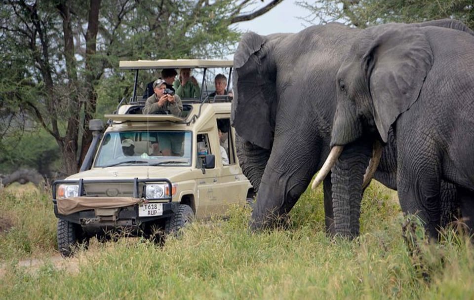 4-Day Camping Safari in Tanzania: Lake Manyara to Serengeti