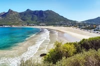 Cape Town: Private Day Trip to Cape Peninsula with a Local 4