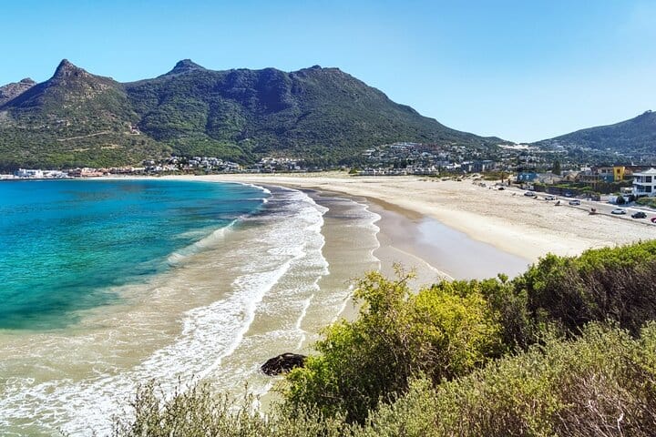 Cape Town: Private Day Trip to Cape Peninsula with a Local 4