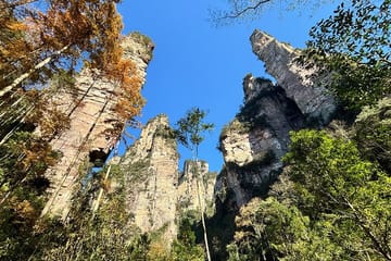 Zhangjiajie National Forest Park Admission Ticket Booking