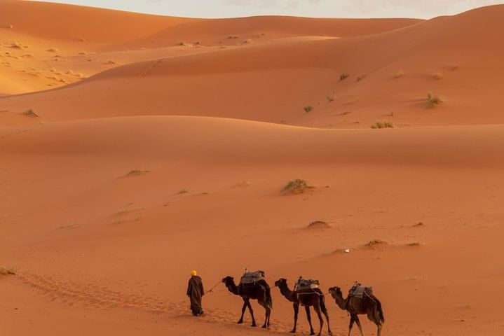 Trip From Erfoud To Merzouga Desert, Dinner, Camel Ride, Sunset