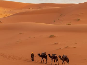 Erfoud to Merzouga Desert Tour with Camel Ride and Dinner