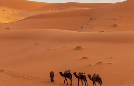 Erfoud to Merzouga Desert Tour with Camel Ride and Dinner