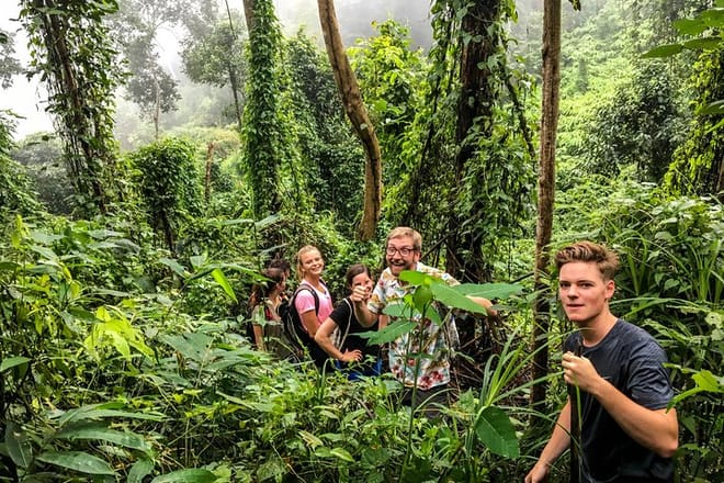 Highland jungle