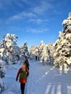 Winter Wonderland Hike in a National Park 9