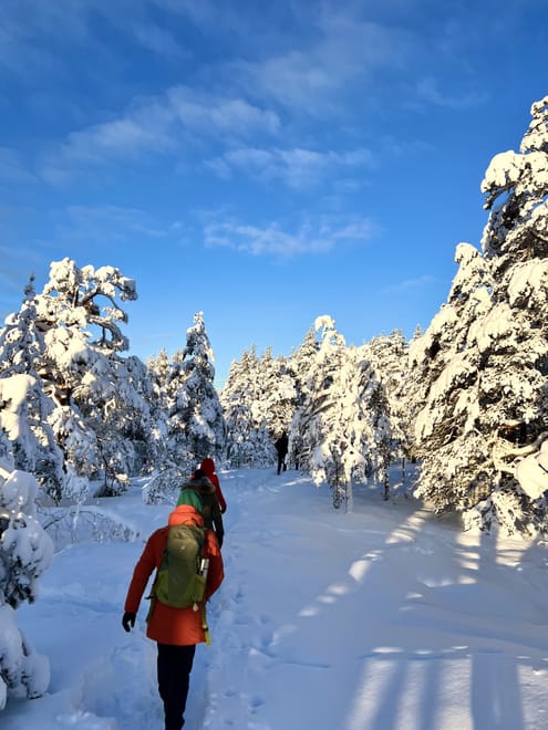 Winter Wonderland Hike in a National Park 9