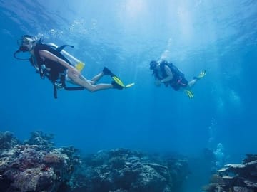 Scuba Diving