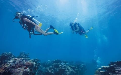 Scuba Diving Adventure in Kuşadası, Türkiye