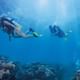 Scuba Diving