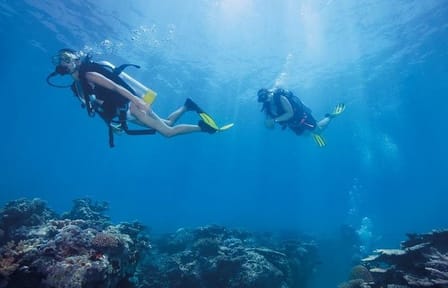 Scuba Diving Adventure in Kuşadası, Türkiye