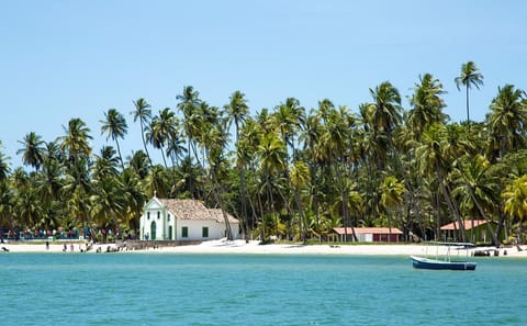 Catamaran Day Trip to Carneiros Beach from Recife
