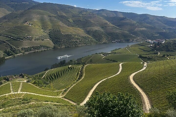 DOURO VALLEY & AMARANTE: Scenic or Wine Experience Private Tour