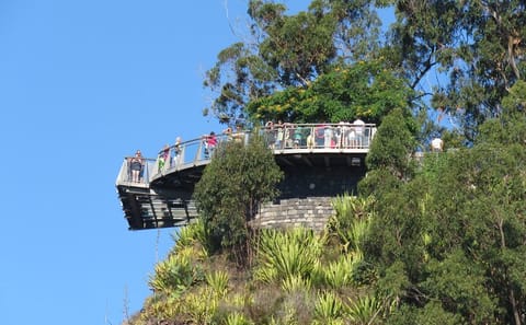 4x4 Adventure Tour of Madeira's Vineyards and Landscapes
