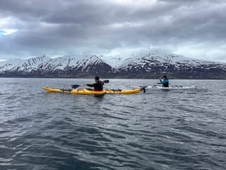 Guided Kayak Tour in Árskógssandur: Explore Coastline & Wildlife, photo 13