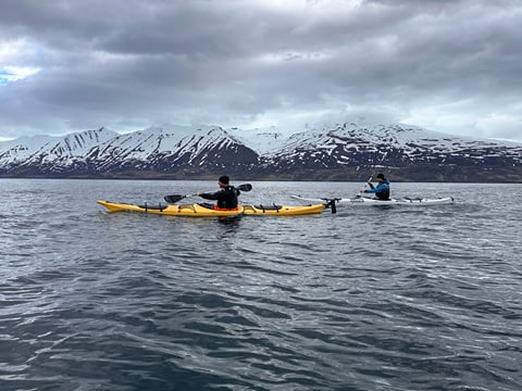 Guided Kayak Tour in Árskógssandur: Explore Coastline & Wildlife, photo 13