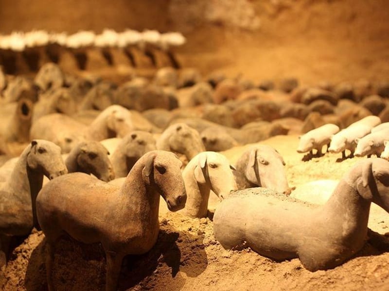 All inclusive Two-Day Xi'an private Heritage Tour