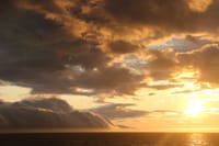 Akureyri Classic Whales in the Midnight Sun 7
