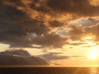 Akureyri Classic Whales in the Midnight Sun, photo 8