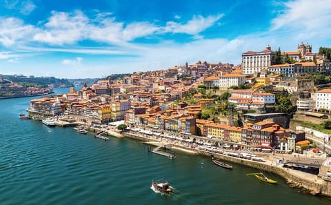 Private Full Day Porto City Tour and Six Bridges Cruise
