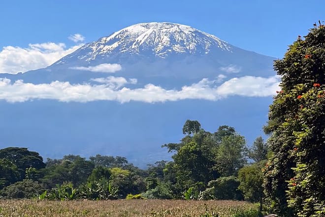 The snow-covered peak of Mount Kilimanjaro against a blue sky, viewed from a lush green landscape.