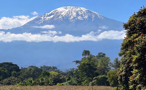 Cultural Day Tour in Moshi: Materuni Waterfall and Coffee Experience