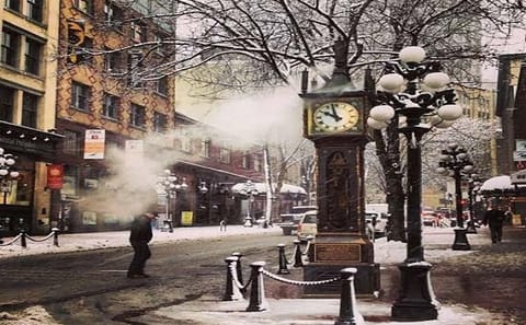 Private 5-Hour Vancouver Sightseeing and Horse Carriage Tour
