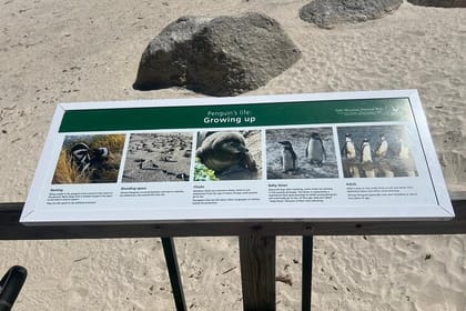 Full-Day Cape of Good Hope and Table Mountain with Penguins Tour