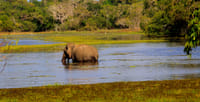 Leisure at Mud House and Mannar Story 07 Nights and 08 Days 9