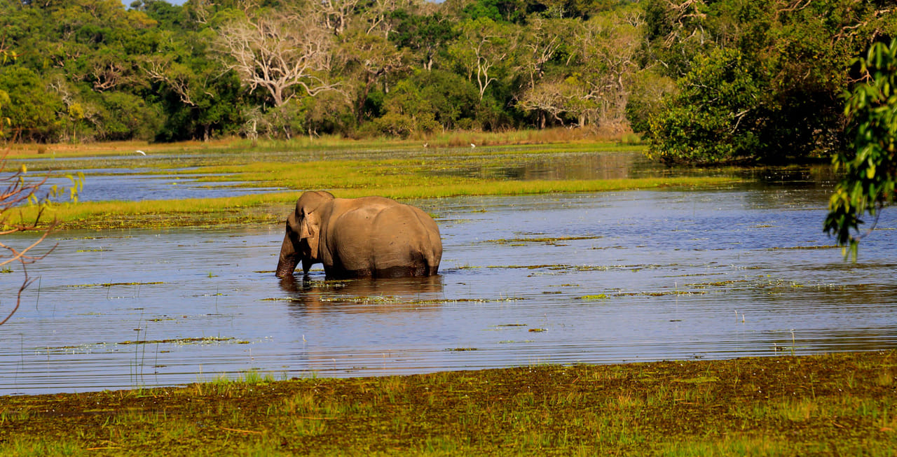 Leisure at Mud House and Mannar Story 07 Nights and 08 Days 9
