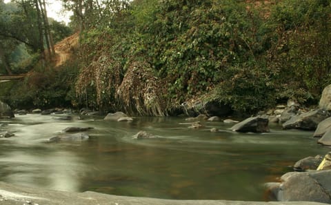 Cultural Homestay and Trekking Experience in Balthali