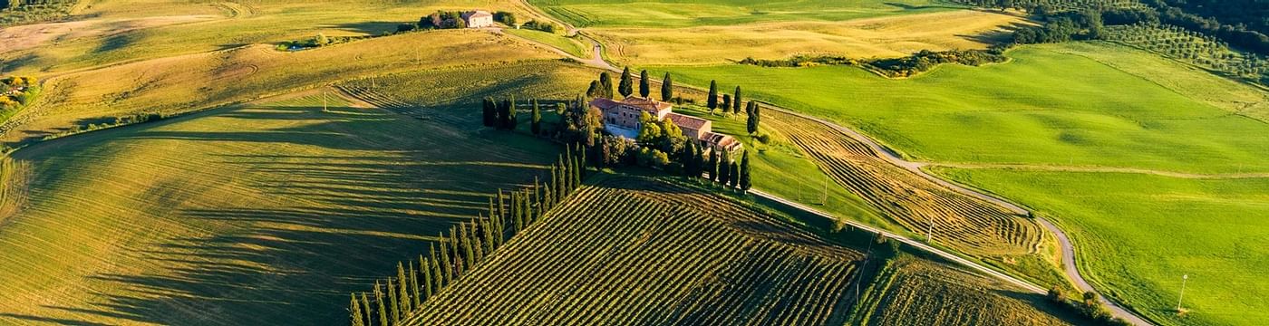 Chianti Wine Tour: Tasting & Meal at Two Renowned Wineries in Tuscany