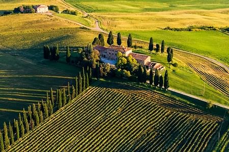 Galileo Museum & Chianti Wine Tasting Tour with Private Guide