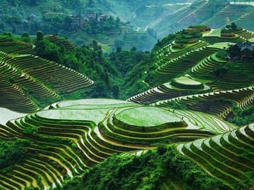One Day Private Longji Rice Terraces with Minority Village Tour