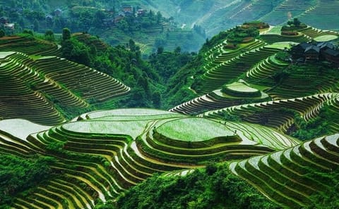 Private Day Tour of Longji Rice Terraces and Minority Village in Guilin